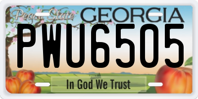 GA license plate PWU6505