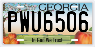 GA license plate PWU6506