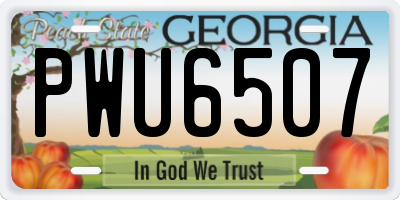 GA license plate PWU6507