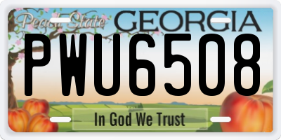 GA license plate PWU6508
