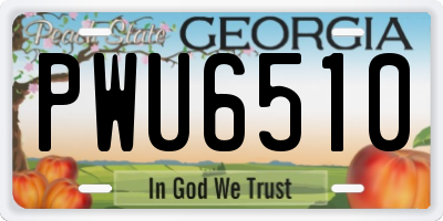GA license plate PWU6510