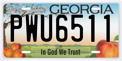 GA license plate PWU6511