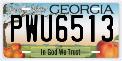 GA license plate PWU6513
