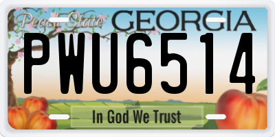 GA license plate PWU6514