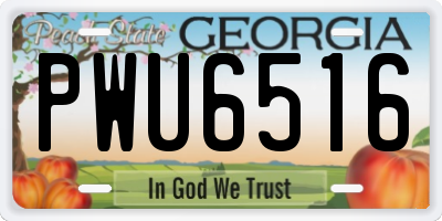 GA license plate PWU6516