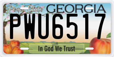 GA license plate PWU6517