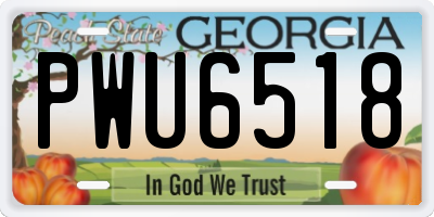 GA license plate PWU6518