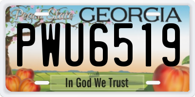 GA license plate PWU6519