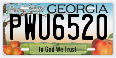 GA license plate PWU6520