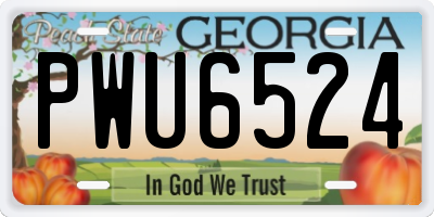 GA license plate PWU6524