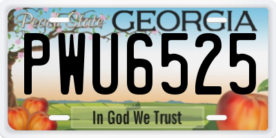 GA license plate PWU6525