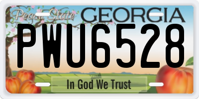 GA license plate PWU6528