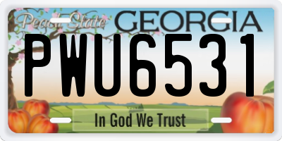 GA license plate PWU6531