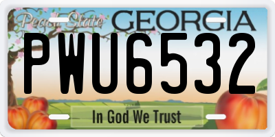 GA license plate PWU6532