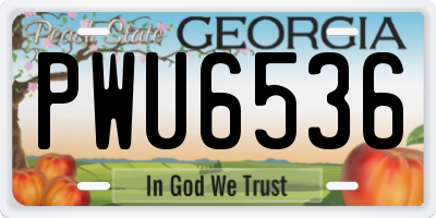 GA license plate PWU6536