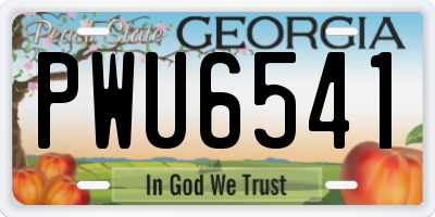 GA license plate PWU6541