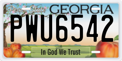 GA license plate PWU6542