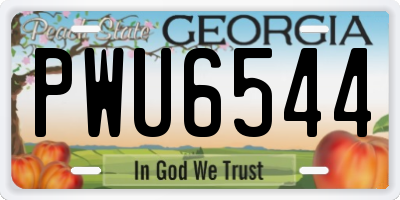 GA license plate PWU6544