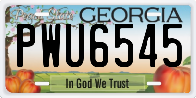 GA license plate PWU6545