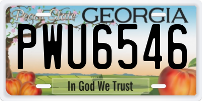 GA license plate PWU6546