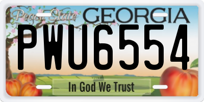 GA license plate PWU6554