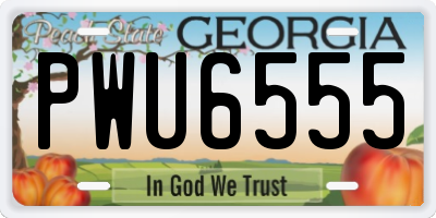 GA license plate PWU6555