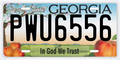 GA license plate PWU6556