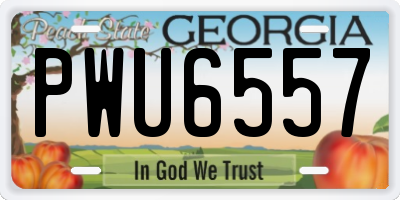 GA license plate PWU6557