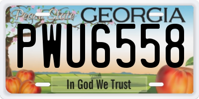 GA license plate PWU6558