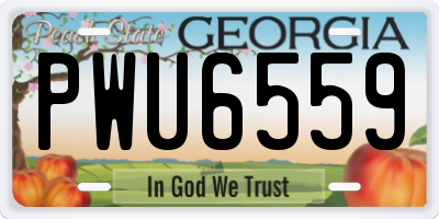GA license plate PWU6559