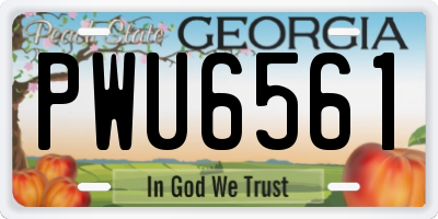 GA license plate PWU6561