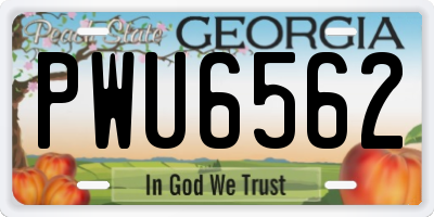 GA license plate PWU6562