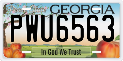GA license plate PWU6563