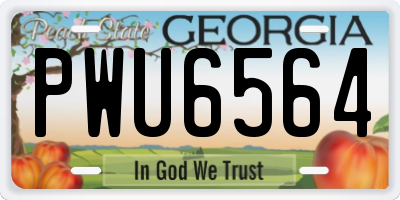 GA license plate PWU6564