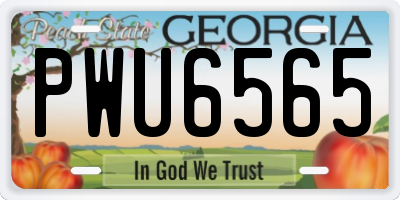 GA license plate PWU6565