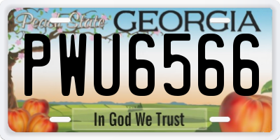 GA license plate PWU6566