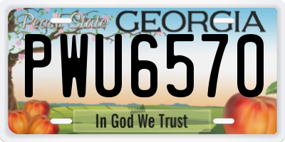 GA license plate PWU6570