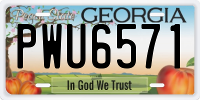 GA license plate PWU6571