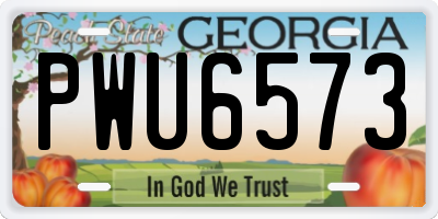 GA license plate PWU6573