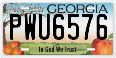 GA license plate PWU6576