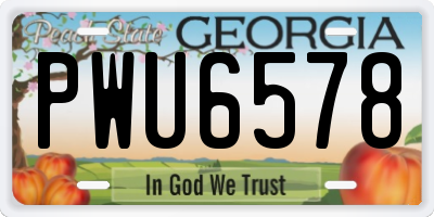 GA license plate PWU6578