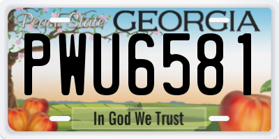 GA license plate PWU6581