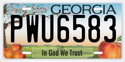 GA license plate PWU6583