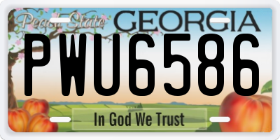 GA license plate PWU6586