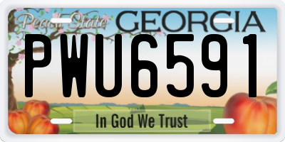 GA license plate PWU6591