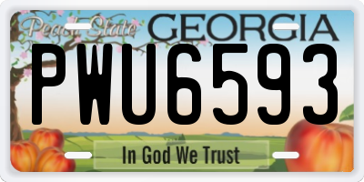 GA license plate PWU6593