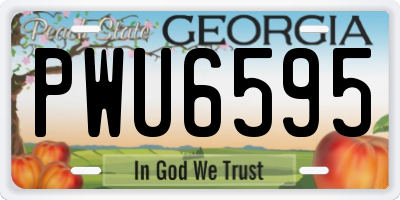 GA license plate PWU6595