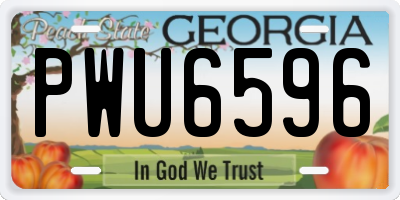 GA license plate PWU6596
