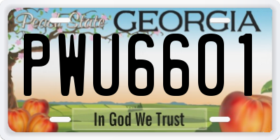 GA license plate PWU6601