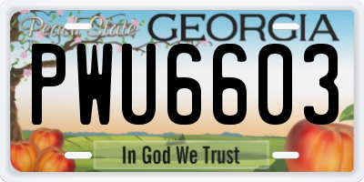 GA license plate PWU6603